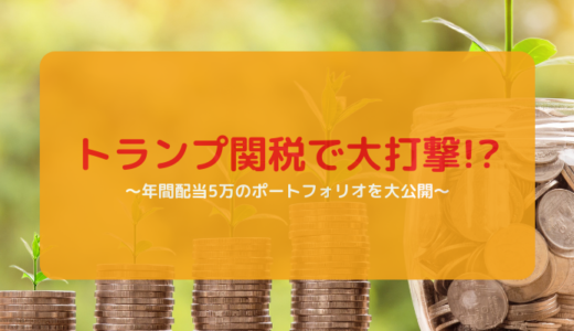 【トランプ関税で大打撃】年間配当5万円を突破したので配当ポートフォリオをご紹介
